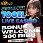 Panduan Dasar Bermain Togel Toto untuk Pemula